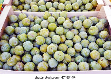 Crate Of Geen Gage Plums (reine Claude) At A French Farmers Market