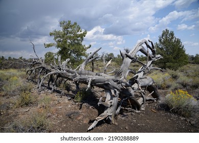 Craters Of The Moon National Monument And Preserve