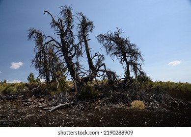 Craters Of The Moon National Monument And Preserve