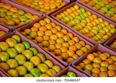 Crates Of Jeju Mandarin Tangerines At A Farmers Market In South Korea