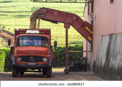 Cravinhos, SP, Brazil, June 18, 2008. Truck Is Loaded With Sugar Cane Forage To Distribute To The Cattle As Feed, In Cravinhos, Sao Paulo State