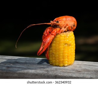 Crawfish Atop Corn Cob, 1