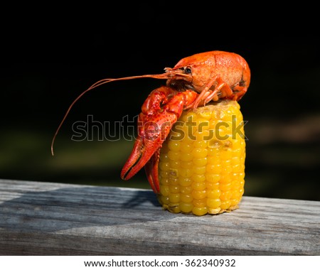 Crawfish Atop Corn Cob, 1