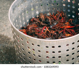 Crawfish Boil In Lafayette Louisiana