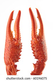 crawfish Claw on a white background