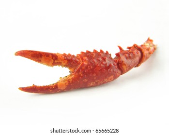 Crawfish Claw On A White Background