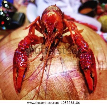 Crawfish very rich and saturated in color claws and head crawdad boil 