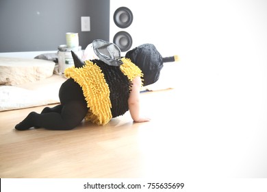 Crawling Baby In A Bumble Bee Costume