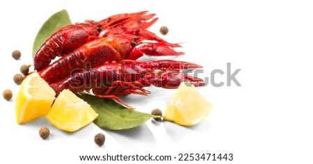 Crayfish, Crawfish closeup. Red boiled crayfish with herbs and lemon isolated on white background. Crawfishes. Fresh Lobster closeup. Border