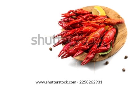 Crayfish, Crawfish closeup. Red boiled crayfish in a wooden plate with herbs and lemon isolated on white background. Crawfishes. Fresh Lobster closeup. 