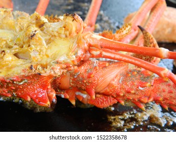 Restaurant Lobster Images Stock Photos Vectors Shutterstock