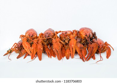 crayfish on a white background for menu or design