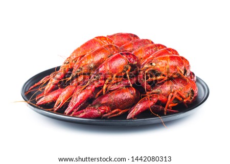 Crayfish. a plate of cooked crayfish