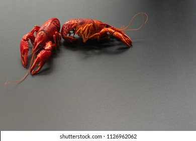 Crayfish Red, Baby Lobster Portrait On Black Background