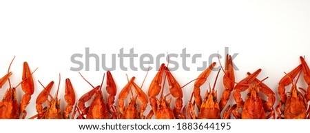 Crayfish-boiled river crayfish on a white background.Space for text.Concept.