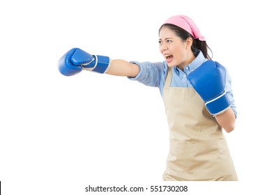 Crazy Angry Mixed Race Chinese Asian House Wife Punching With Blue Boxing Gloves. Isolated On White Background. Housework And Household Idea Concept.