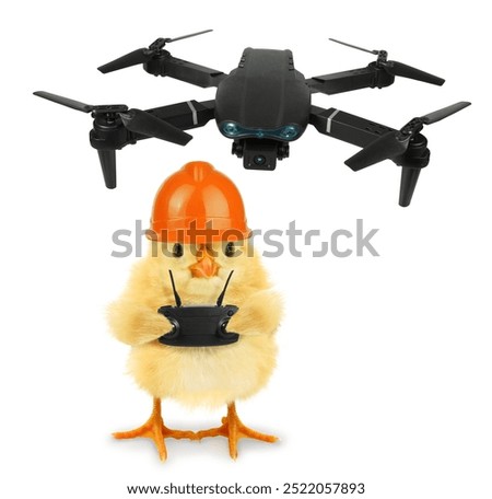 Crazy chick controls the camera drone with a remote control trendy concept idea isolated on white background funny photo. Baby chicken character poster
