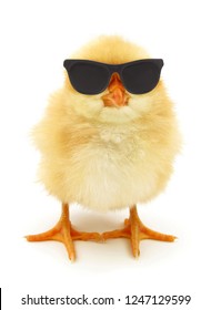 Crazy Chicken Images, Stock Photos & Vectors | Shutterstock