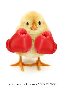 Crazy chick with red boxing gloves