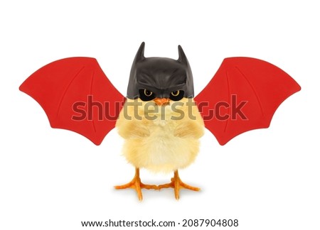 Crazy chick superhero bat with red wings trendy concept idea photo isolated on white background funny photo. Bat chick character poster