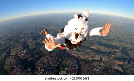 Crazy Easter Bunny Costume Skydiver