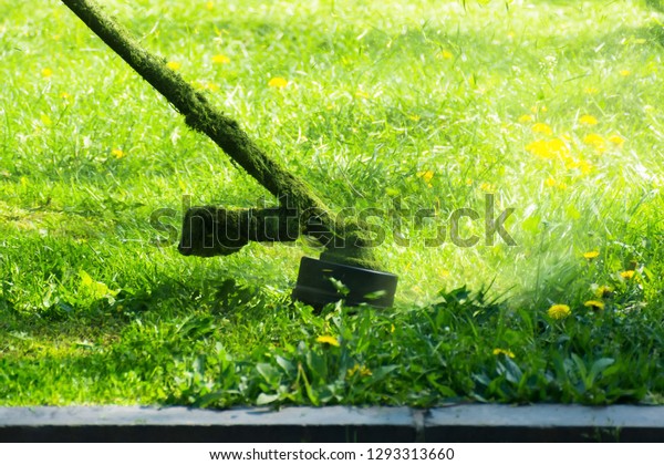 crazy grass cutting with\
brushcutter. head with nylon line cutting grass and dandelions in\
to small pieces. flying plant lumps. beautiful gardening\
background