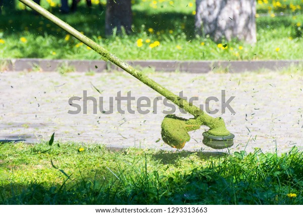 crazy grass cutting\
in the park with gasoline trimmer. head with nylon line cutting\
grass and dandelions in to small pieces. flying plant lumps.\
beautiful gardening\
background