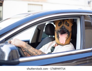 Crazy Man With Dog Mask Driving Car: Car Insurance Concept