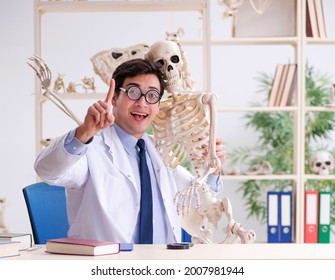 Crazy Professor Studying Human Skeleton