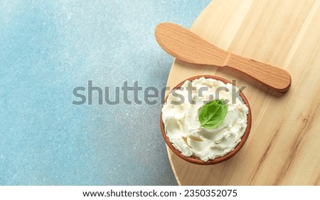 cream cheese spread, soft cottage cheese. Restaurant menu, dieting, cookbook recipe top view,