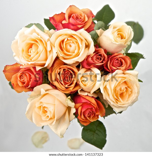 Cream Orange Peach Roses Bunch Stock Photo (Edit Now) 141137323