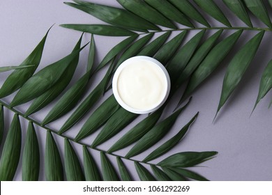 cream and palm leaves on a gray pastel background. Korean cosmetics. care cream. minimalism, insta. design, idea, top