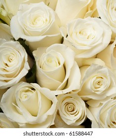 white silk roses