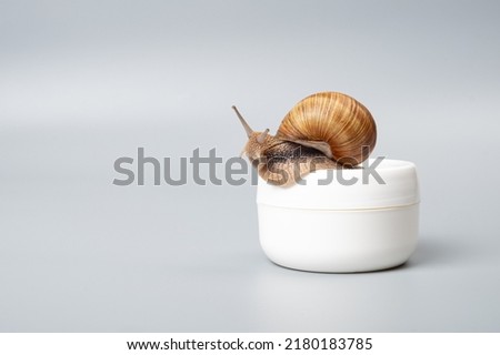 cream with snail mucin closeup, beauty skin care.