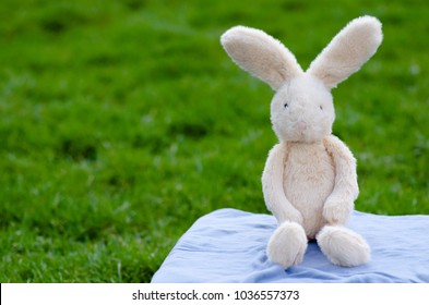 Cream Stuffed Bunny Sitting On Blanket And Grass