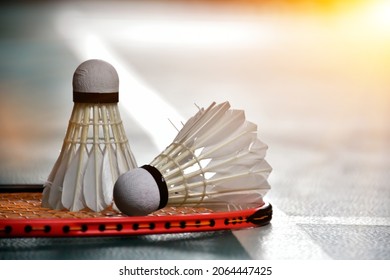 Cream white badminton shuttlecock and racket with neon light shading on green floor in indoor badminton court, blurred badminton background, copy space. 