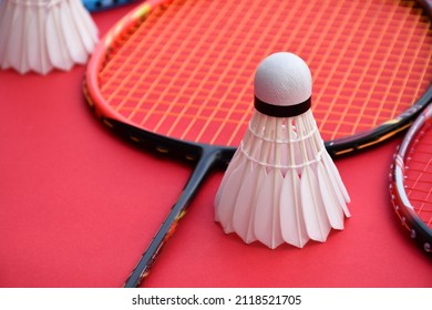 Cream white badminton shuttlecock and racket on red floor in indoor badminton court, copy space, soft and selective focus on shuttlecocks.