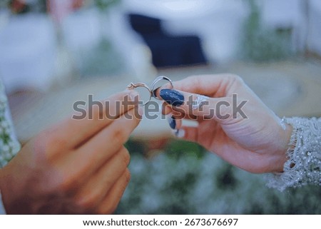 Create a good description for this image, maximum 200 characters, create 50 relevant keywords for this image, use on word for all keywords. Separate all keywords with co                    