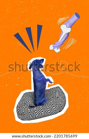 Creative 3d photo collage artwork postcard poster of funny cute dog sit wait feed arm give meat isolated on painting background