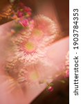 Creative abstract natural background.Pastel pink gerbera daisy photographed through a prism for a Surreal Prisming Shot Of. Spring flowers shot with kaleidoscope effect. Floral layout, wallpaper.