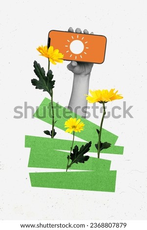 Creative abstract template collage of flowers yellow daisies bloom blossom hand hold smartphone screen sunny weather social media