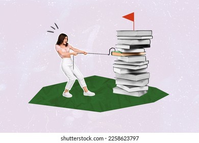 Creative abstract template graphics collage image of purposeful lady catching book on hook isolated drawing background - Shutterstock ID 2258623797