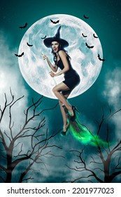 Creative Abstract Template Graphics Image Of Lady Witch Flying Broom Stick Moonlight Isolated Drawing Background