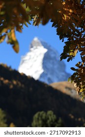 Creative alpine composition with an iconic snow-covered mountain peak in the background, framed by autumn leaves in the foreground. The shallow depth of field creates a soft, artistic look, combining nature, seasonality, and mountain scenery in a unique and atmospheric landscape image.
