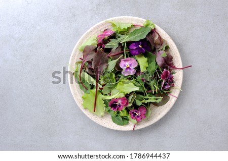 Creative arrangement with colorful    eatable  flowers and green leaves  salad over gray stone background. Flat lay. Minimal summer food concept.