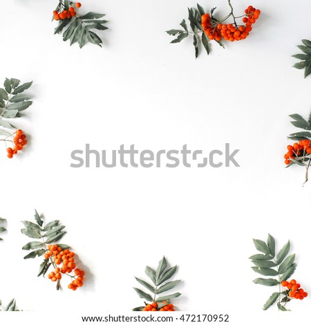Similar – Image, Stock Photo Autumn Nature Arrangement Frame