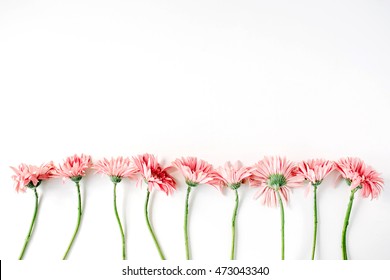 Creative arrangement of gerberas on white background. Flat lay. Stock fotografie