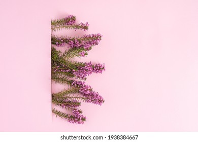 イラスト ピンク花 おしゃれ の写真素材 画像 写真 Shutterstock