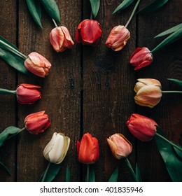 Creative arrangement of tulips on dark wooden background. Flat lay.