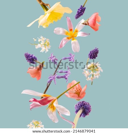 Creative arrangement with various spring flowers flying against pastel blue background. Minimal nature concept.